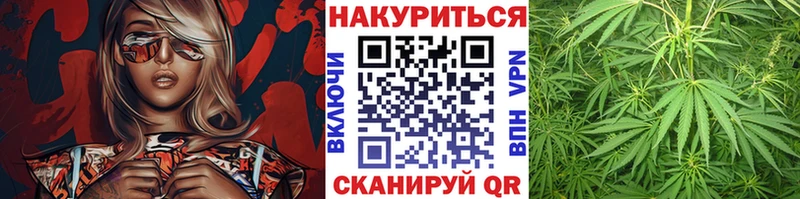Бошки Шишки VHQ  Калачинск 
